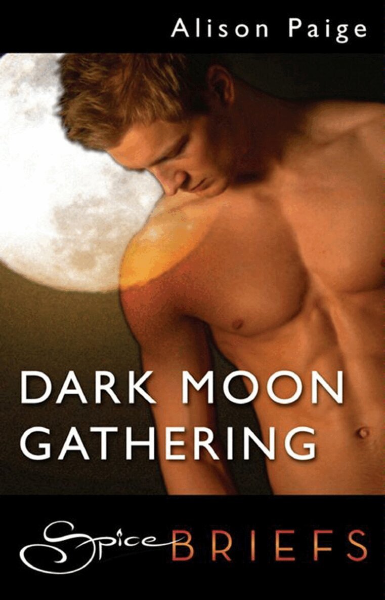 Alison Paige - Dark Moon Gathering, E-bok
