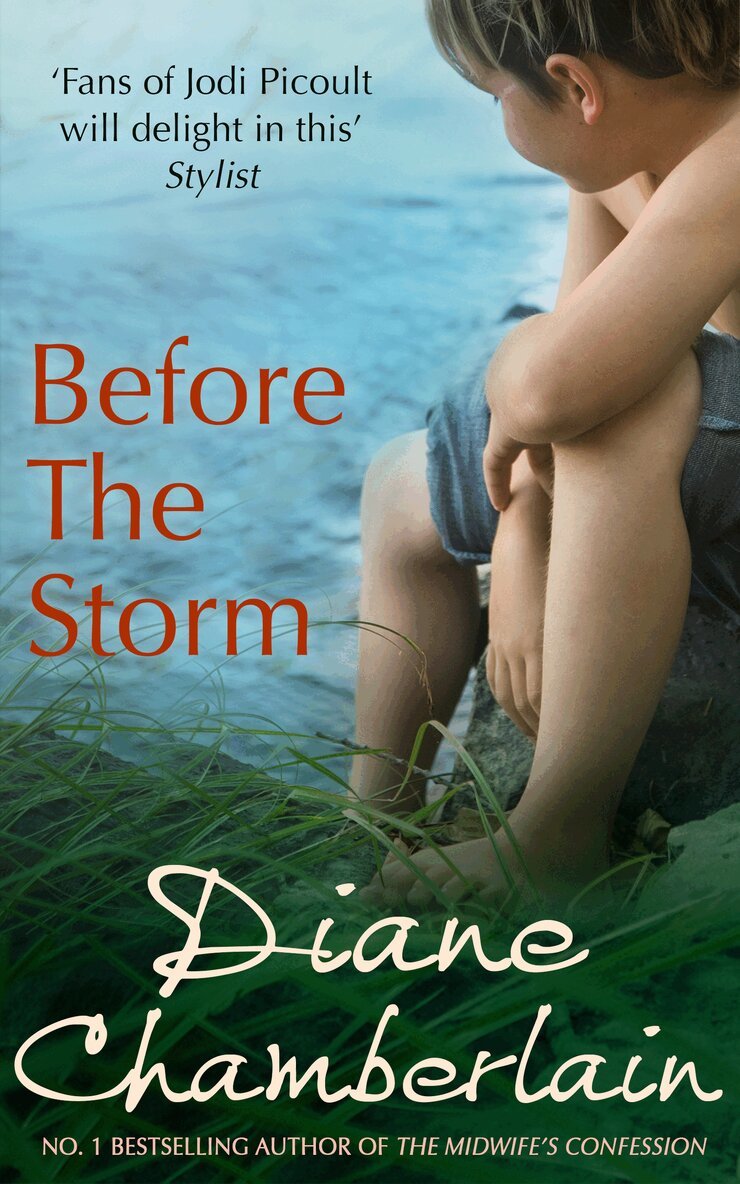 Diane Chamberlain - Before The Storm, E-bok