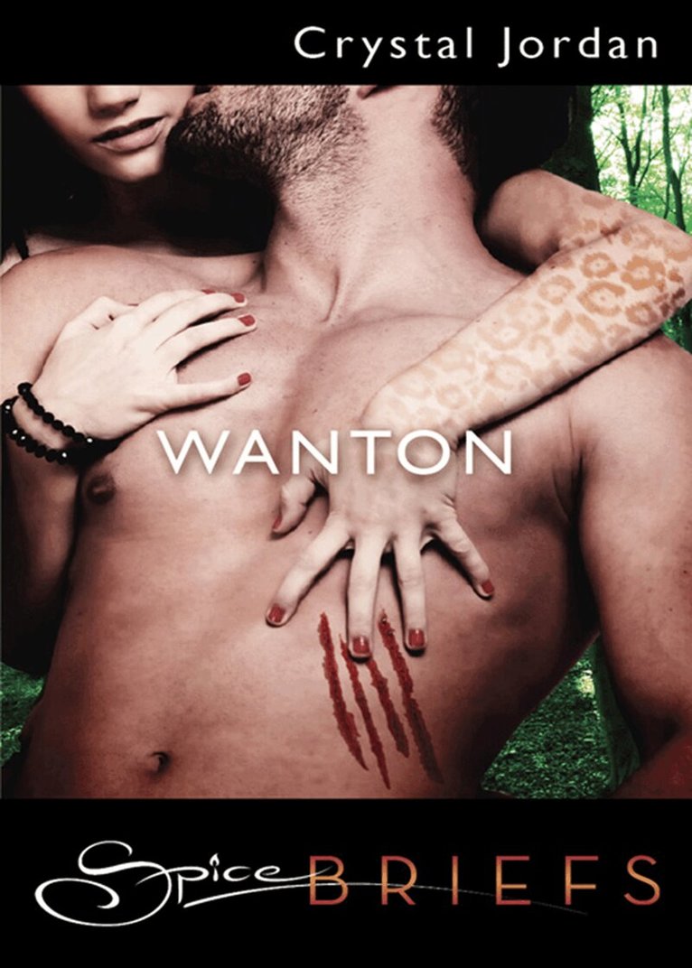Crystal Jordan - Wanton, E-bok