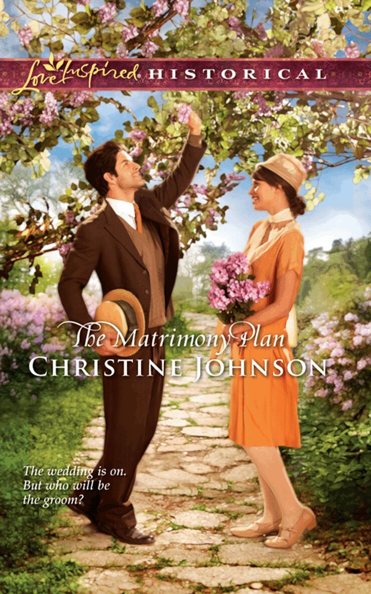 Christine Johnson - Matrimony Plan, E-bok