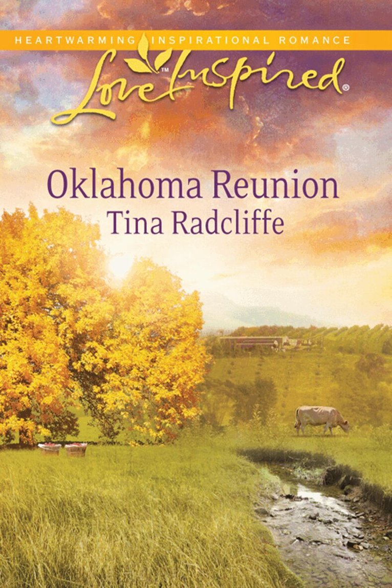 Tina Radcliffe - Oklahoma Reunion, E-bok. Tillgänglighet: Lägg i varukorg
