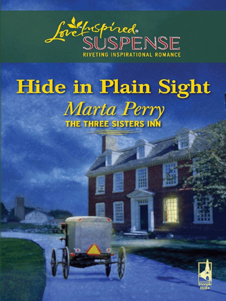 Marta Perry - Hide in Plain Sight, E-bok