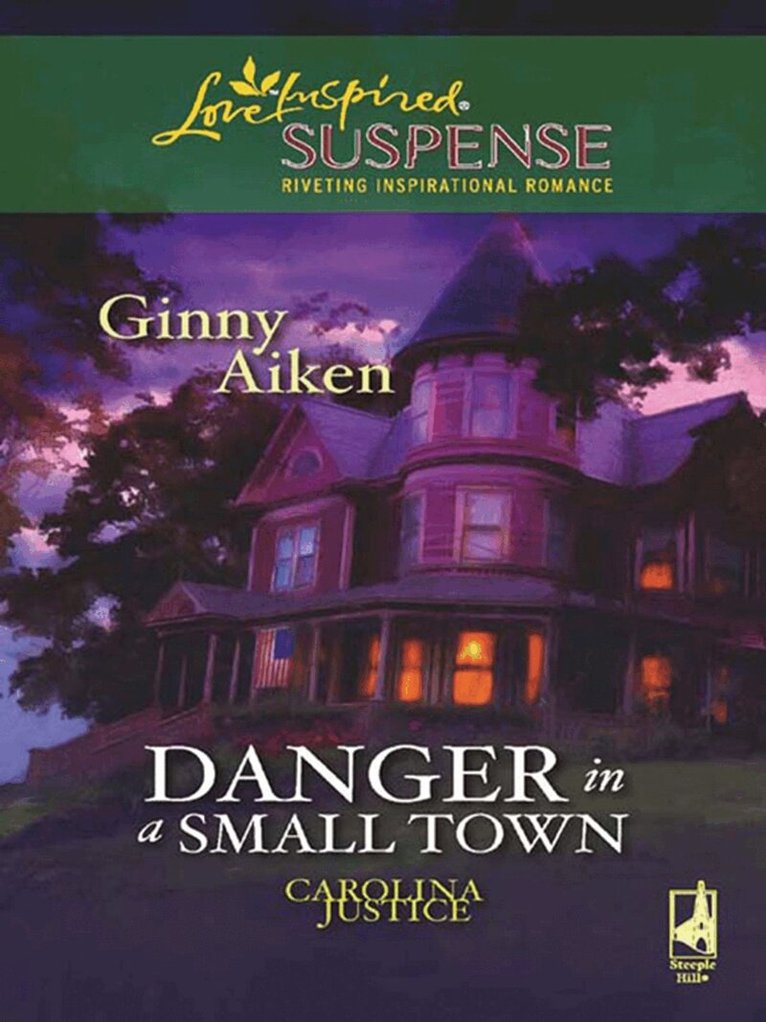 Ginny Aiken - Danger in a Small Town, E-bok