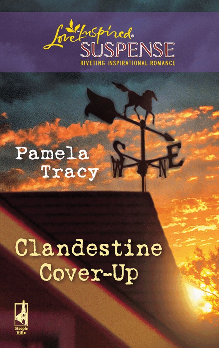 Pamela Tracy - Clandestine Cover-Up, E-bok