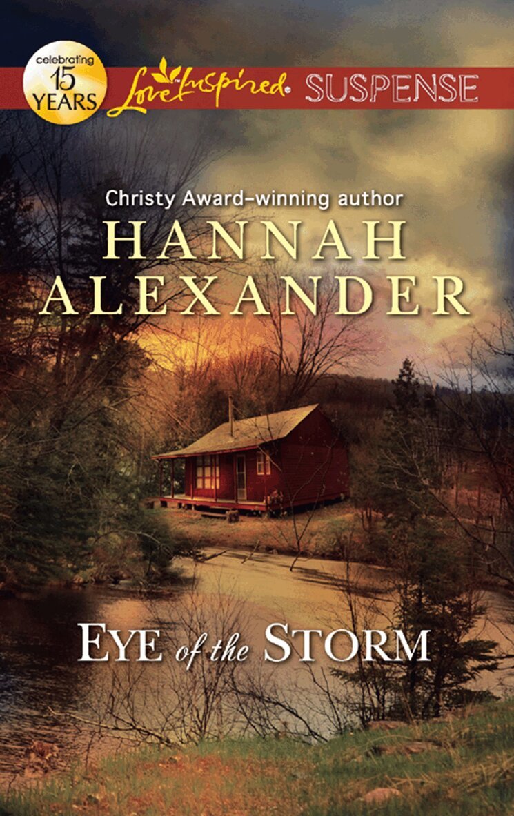 Hannah Alexander - Eye Of The Storm, E-bok