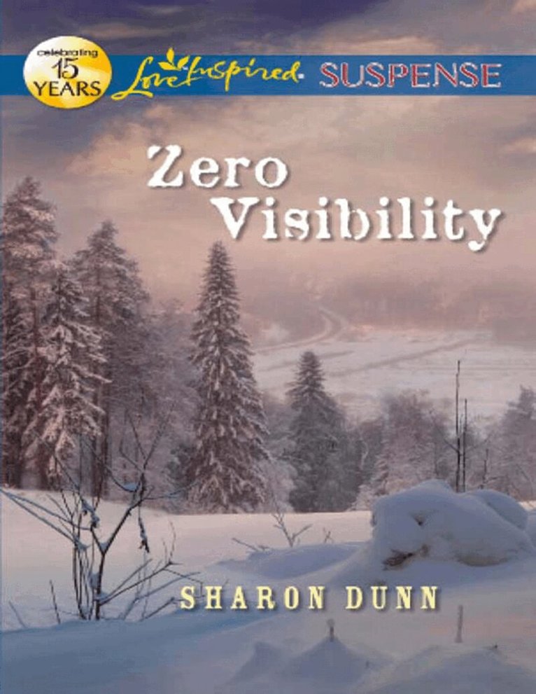 Sharon Dunn - Zero Visibility, E-bok