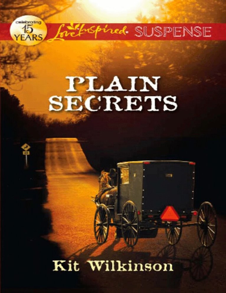 Kit Wilkinson - Plain Secrets, E-bok
