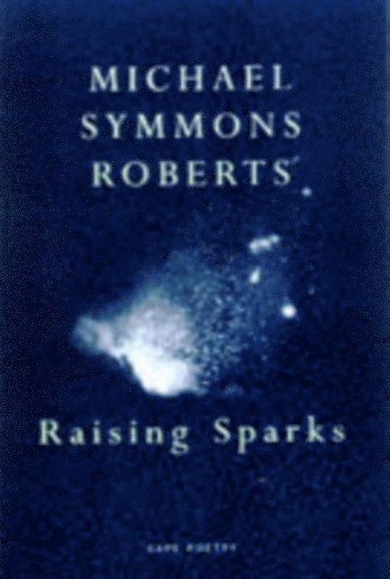 Michael Symmons Roberts - Raising Sparks, E-bok