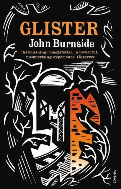 John Burnside - Glister, E-bok