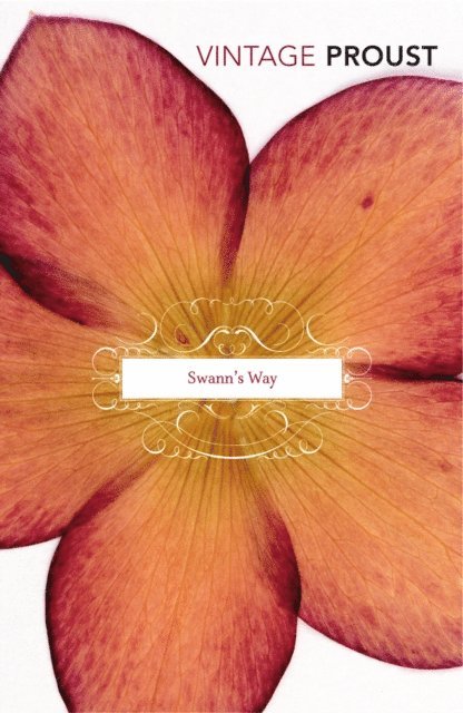 Marcel Proust - In Search Of Lost Time Vol 1, E-bok