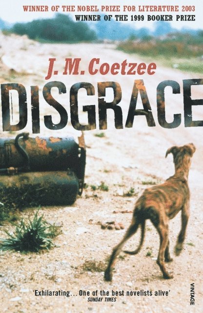 J.M. Coetzee - Disgrace, E-bok