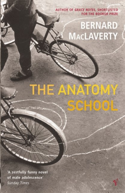 Bernard MacLaverty - Anatomy School, E-bok