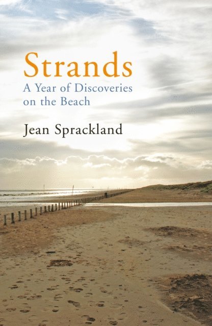 Jean Sprackland - Strands, E-bok
