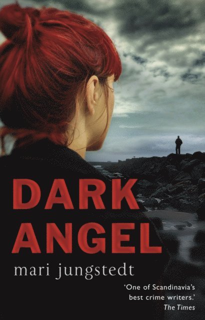 Mari Jungstedt - Dark Angel, E-bok