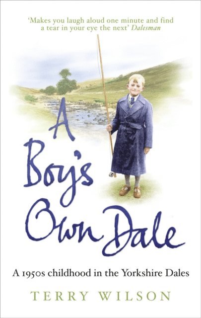Terry Wilson - Boy's Own Dale, E-bok