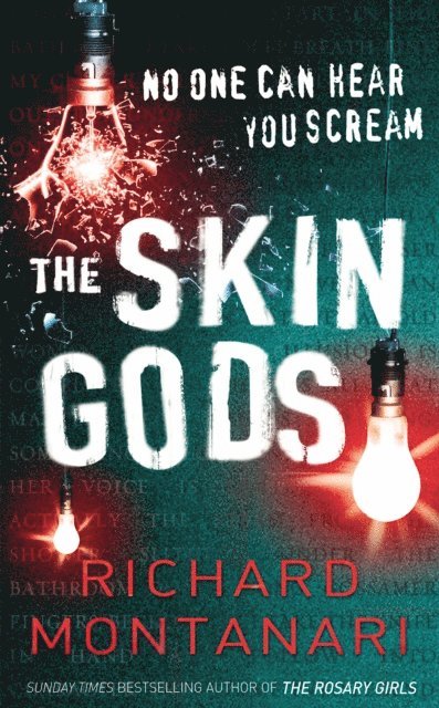 Richard Montanari - Skin Gods, E-bok