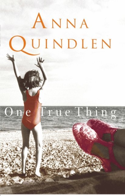 Anna Quindlen - One True Thing, E-bok
