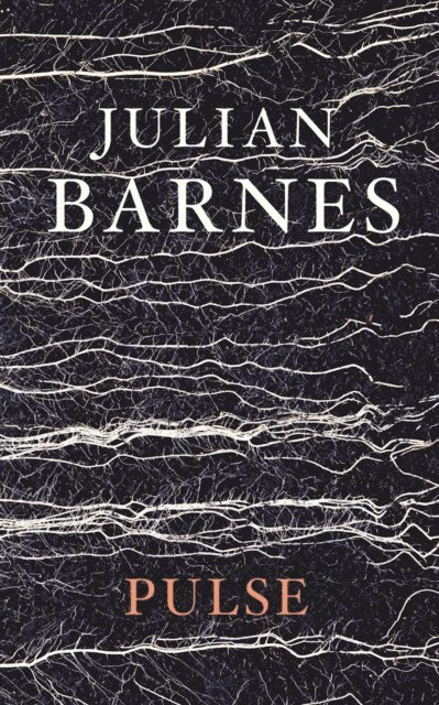 Julian Barnes - Pulse, E-bok
