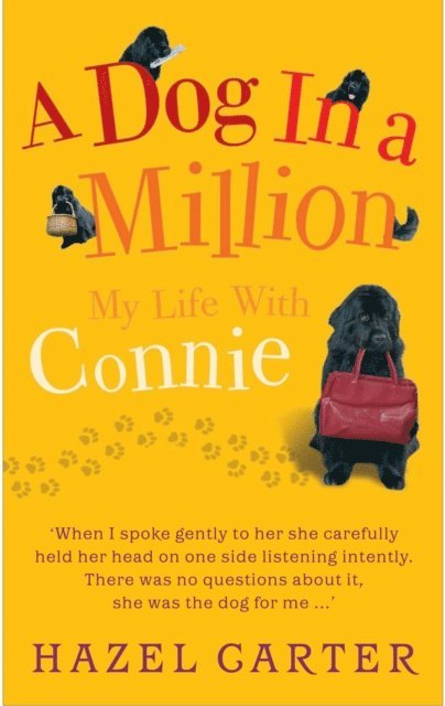 Hazel Carter - Dog in a Million, E-bok