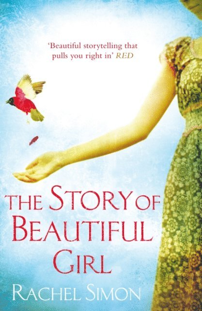 Rachel Simon - Story of Beautiful Girl, E-bok