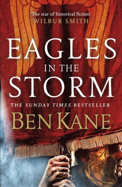 Ben Kane - Eagles in the Storm, E-bok