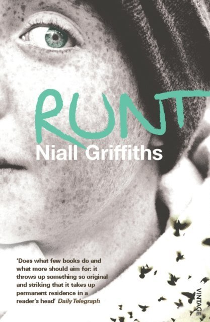 Niall Griffiths - Runt, E-bok
