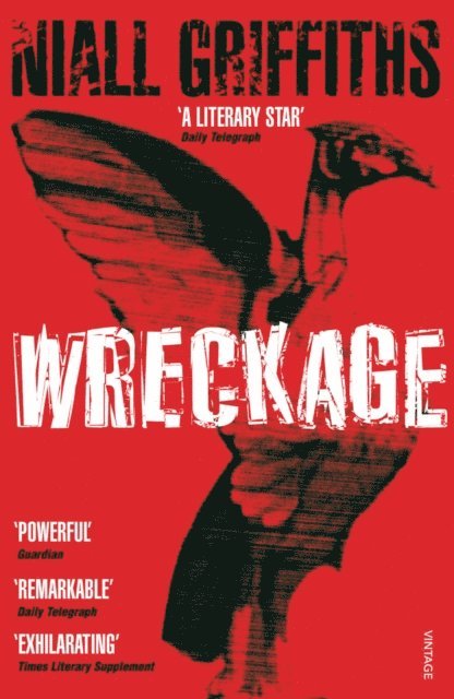 Niall Griffiths - Wreckage, E-bok