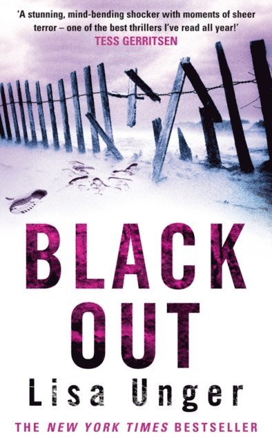 Lisa Unger - Black Out, E-bok