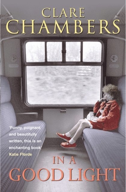 Clare Chambers - In A Good Light, E-bok