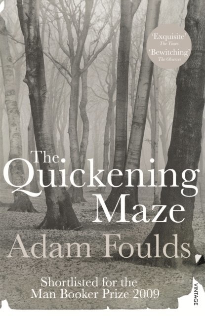 Adam Foulds - Quickening Maze, E-bok