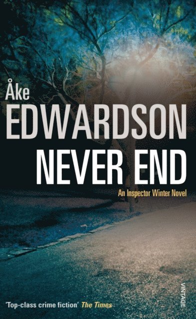 Åke Edwardson - Never End, E-bok
