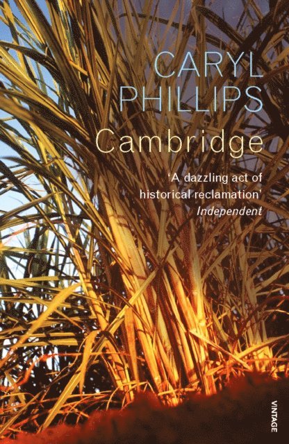 Caryl Phillips - Cambridge, E-bok