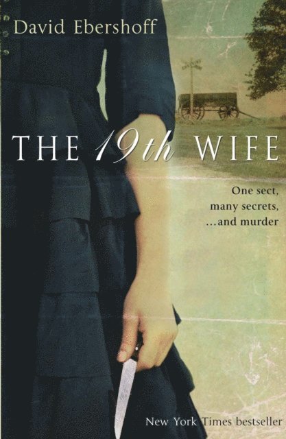 David Ebershoff - 19th Wife, E-bok
