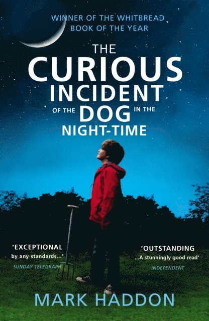 Mark Haddon - Curious Incident of the Dog in the Night-time, E-bok