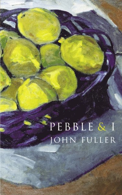 John Fuller - Pebble & I, E-bok
