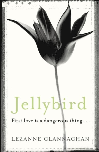 Lezanne Clannachan - Jellybird, E-bok