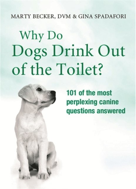Gina Spadafori, Marty Becker - Why Do Dogs Drink Out Of The Toilet?, E-bok