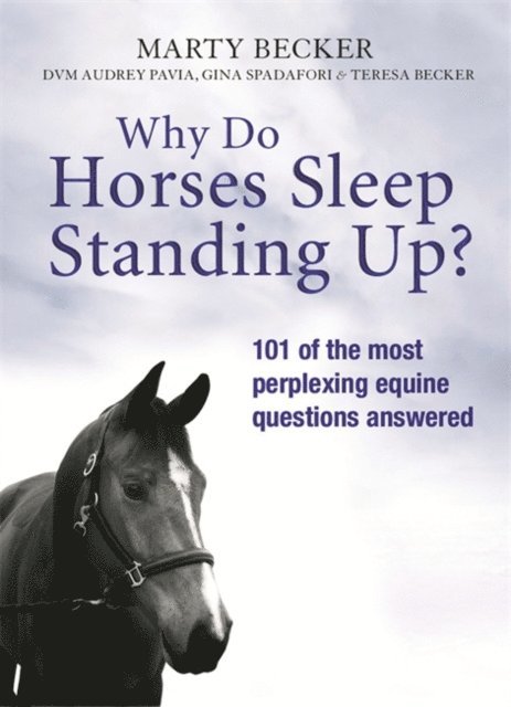 Marty Becker - Why Do Horses Sleep Standing Up?, E-bok