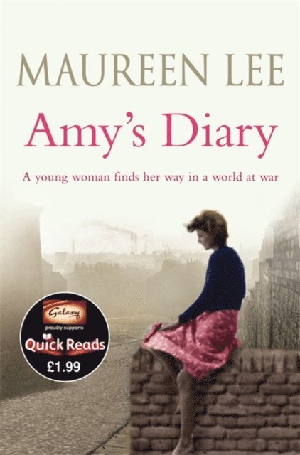 Maureen Lee - Amy's Diary, E-bok