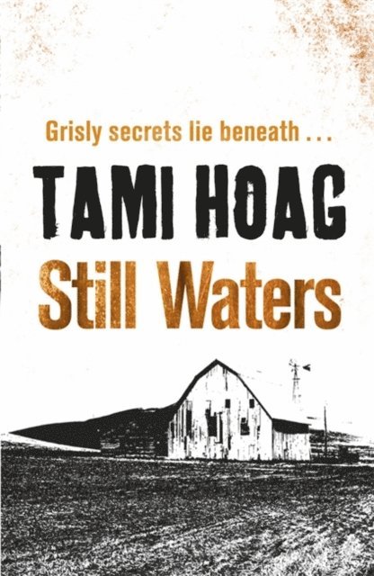 Tami Hoag - Still Waters, E-bok