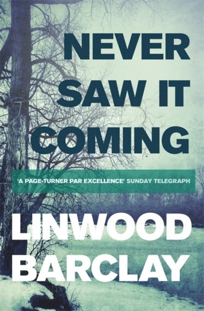 Linwood Barclay - Never Saw it Coming, E-bok