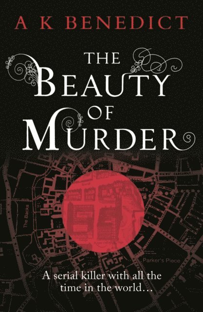 A K Benedict - Beauty of Murder, E-bok