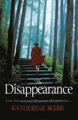 Disappearance by Katherine Webb