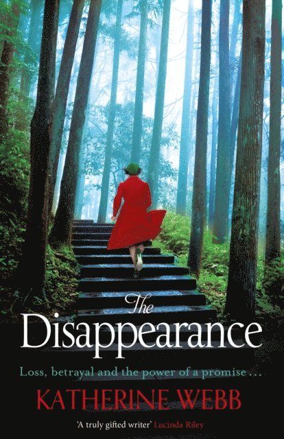 Katherine Webb - Disappearance, E-bok