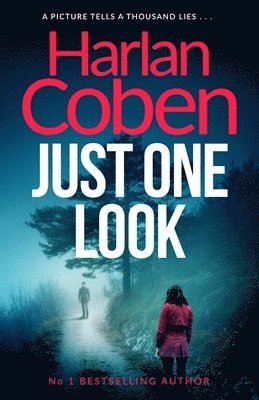 Just One Look av Harlan Coben