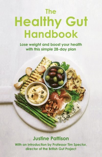 Justine Pattison - Healthy Gut Handbook, E-bok