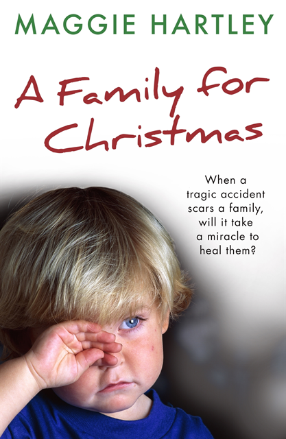 Maggie Hartley - Family For Christmas, E-bok