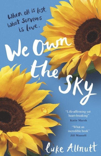 Luke Allnutt - We Own The Sky, E-bok