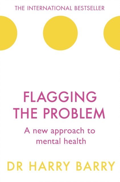 Harry Barry - Flagging the Problem, E-bok