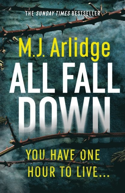 M. J. Arlidge - All Fall Down, E-bok